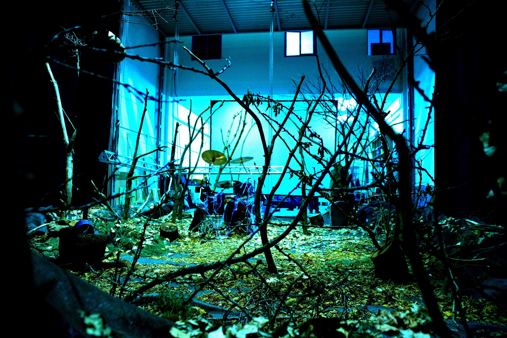 contraplano decorado bosque